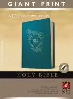 Holy Bible Giant Print NLT