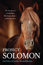 Project Solomon