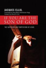 If You Are the Son of God