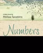 Numbers - Women's Bible Study DVD