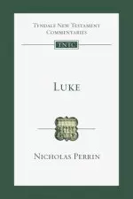 Luke: An Introduction and Commentary Volume 3