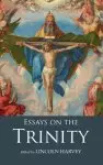 Essays on the Trinity