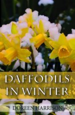 Daffodils in Winter