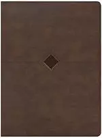 CSB Day-by-Day Chronological Bible, Brown LeatherTouch