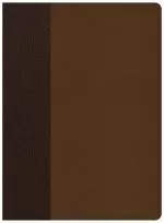 CSB Life Essentials Interactive Study Bible, Brown LeatherTouch