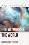 God at Work in the World