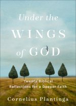 Under the Wings of God: Twenty Biblical Reflections for a Deeper Faith