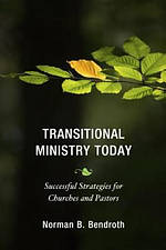 Transitional Ministry Today