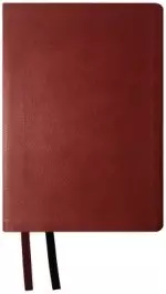 NASB 2020 Large Print Ultrathin Reference Bible, Maroon