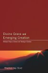 Divine Grace and Emerging Creation