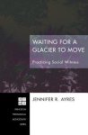 Waiting for a Glacier to Move: Practicing Social Witness