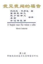 Gospel As Revealed To Me (vol 3) - Simplified Chinese Edition