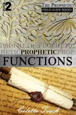 Prophetic Functions: Operating Effectively as a Prophet