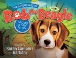 The Adventures of Bob the Beagle: Finding A New Family