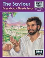 The Saviour: Everybody Needs Jesus: New Testament Volume 3: Life of Christ Part 3