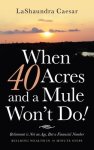 When 40 Acres and a Mule Won't Do!: Retirement Is Not an Age, but a Financial Number