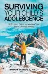 Surviving Your Child's Adolescence: A Christian Guide for Meeting Your Teen's Deepest Needs