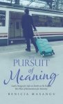 The Pursuit of Meaning: God's Design for Life on Earth as He Fulfills His Plan of Restoration for Eternity