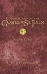 Commentary on the Gospel of St. John, Volume 2