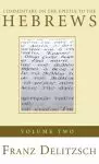 Commentary on the Epistle to the Hebrews, Volume 2