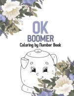 OK Boomer Coloring by Number Book: Christian Religious Lessons Coloring Book, Good Vibes Relaxation and Inspiration, Bible Verse Coloring