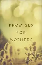 25 x Promises For Mothers Tracts