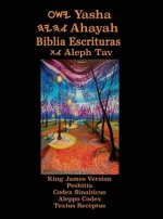 Yasha Ahayah Biblia Escrituras Aleph Tav (spanish Edition Yasat Study Bible)