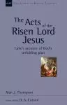 Acts of the Risen Lord Jesus