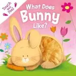 What Does Bunny Like?: Touch & Feel Board Book