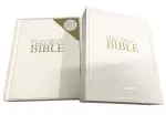 The Illustrated Children's Bible