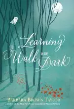 Learning to Walk in the Dark