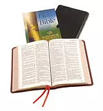 KJV Pew Bible: Black, Leather, Presentation Page, Ribbon Marker, Bible Word List, Illustrations, Reading Plan