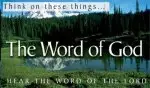 50 x The Word of God Tracts