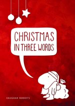 Single Christmas in Three Words Tract