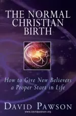 The Normal Christian Birth: How to Give New Believers a Proper Start in Life