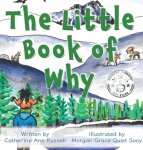 The Little Book of Why