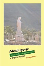 Medjugorje concise & comprehensive : a pilgrim