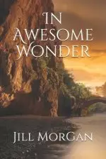 In Awesome Wonder