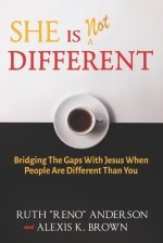 She is Not Different: Bridging the Gaps with Jesus when People are Different than You