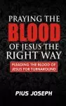 Praying the Blood of Jesus the Right Way: Pleading the Blood of Jesus for Turnaround