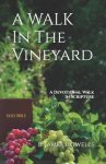 A WALK IN THE VINEYARD