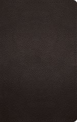 ESV Thinline Bible, Red Letter (Buffalo Leather, Deep Brown)