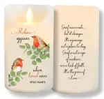 Robins Near You LED Candle with Scented Wax and Timer