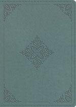 ESV Chronological Bible (TruTone, Paris Sky, Fleur-de-lis Design)