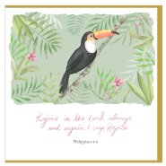 Toucan Encouragement Single Card