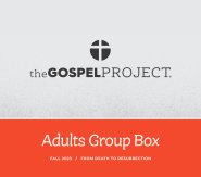 Gospel Project for Adults: Adult Group Box CSB - Fall 2023