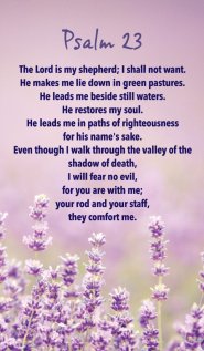 Prayer Card - Psalm 23 Pack of 20