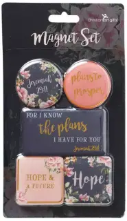 I Know The Plans Magnet Set