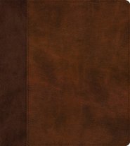 ESV Journaling Study Bible (TruTone, Brown/Chestnut, Timeless Design)