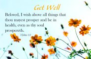 Get Well Postcard: Get Well Flowers (Package of 25)